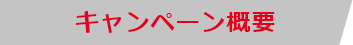 キャンペーン概要