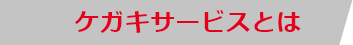 ケガキサービスとは