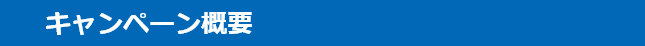 キャンペーン概要